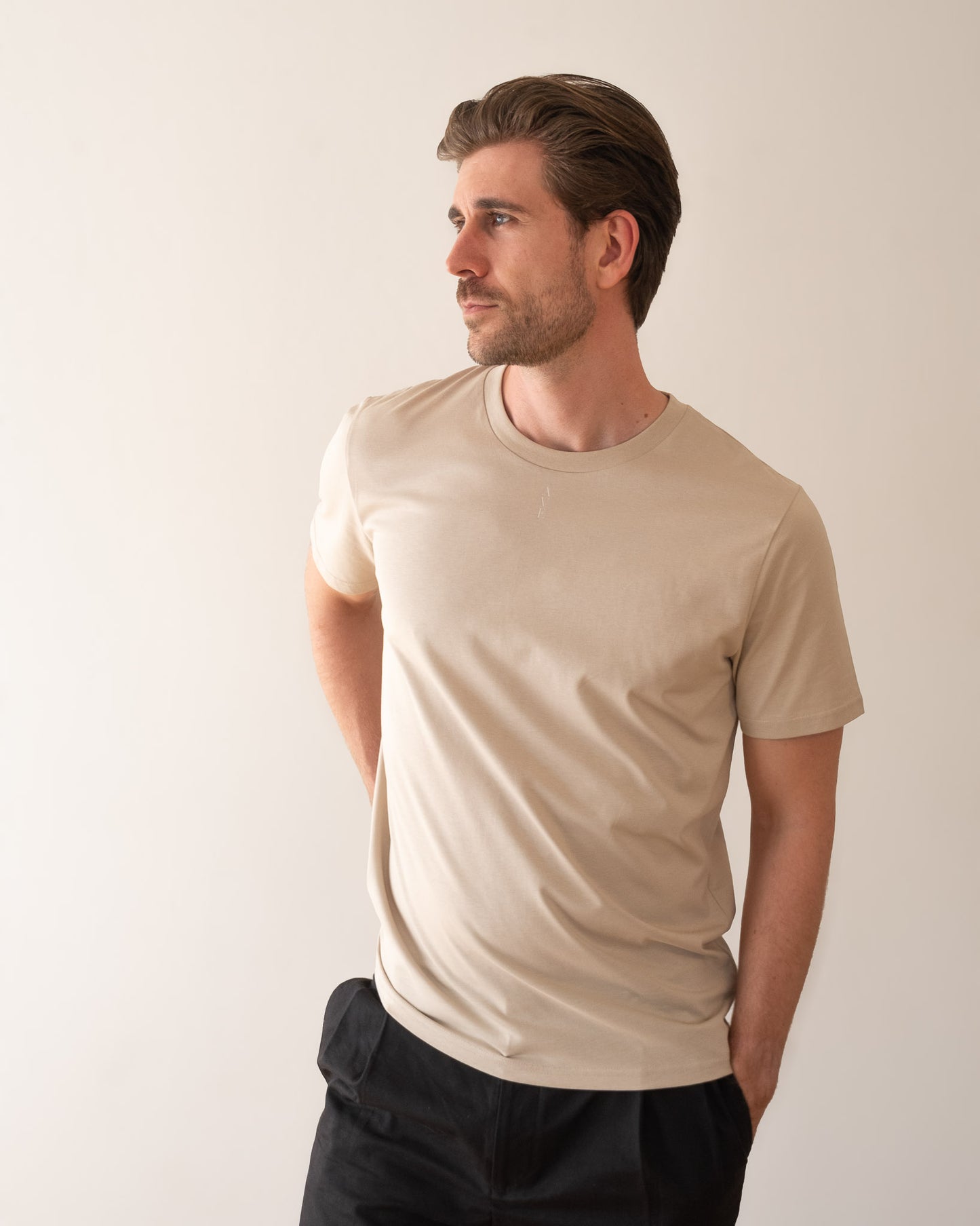 TESSERA t-shirt in sand, worn by a man, worn loose, AVE lettering at the neckline