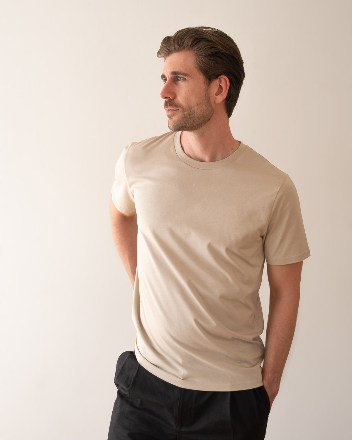 TESSERA t-shirt in sand, worn by a man, worn loose, AVE lettering at the neckline